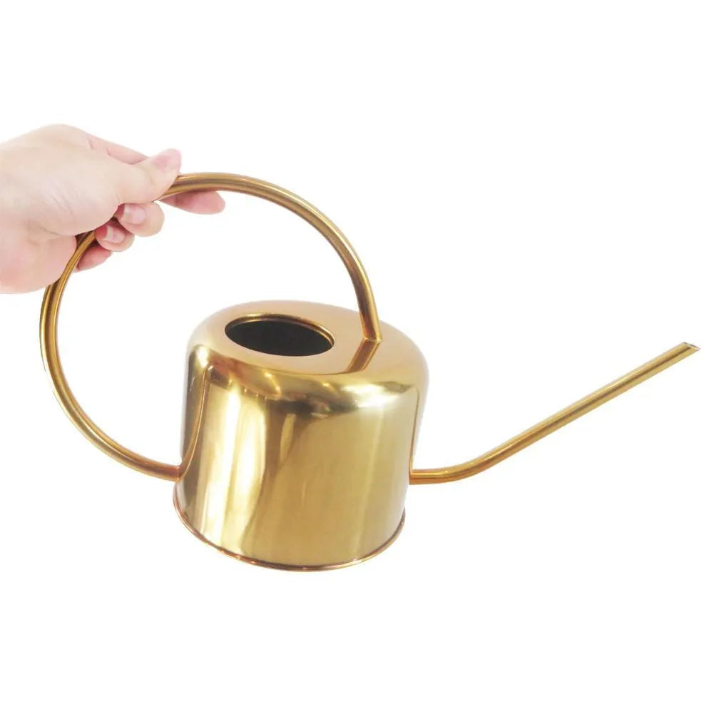 Stainless steel 2 litre watering can with long spout in black, gold, or silver finish