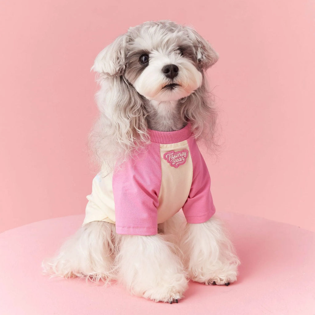 Red embroidered cotton summer dog clothing on a small dog, showing lightweight design.