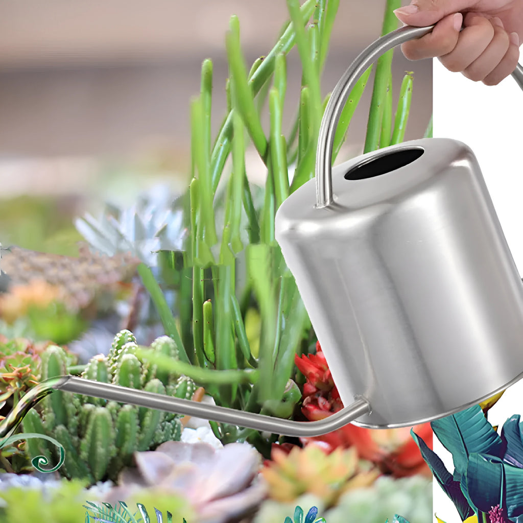 Stainless steel 2 litre watering can with long spout in black, gold, or silver finish