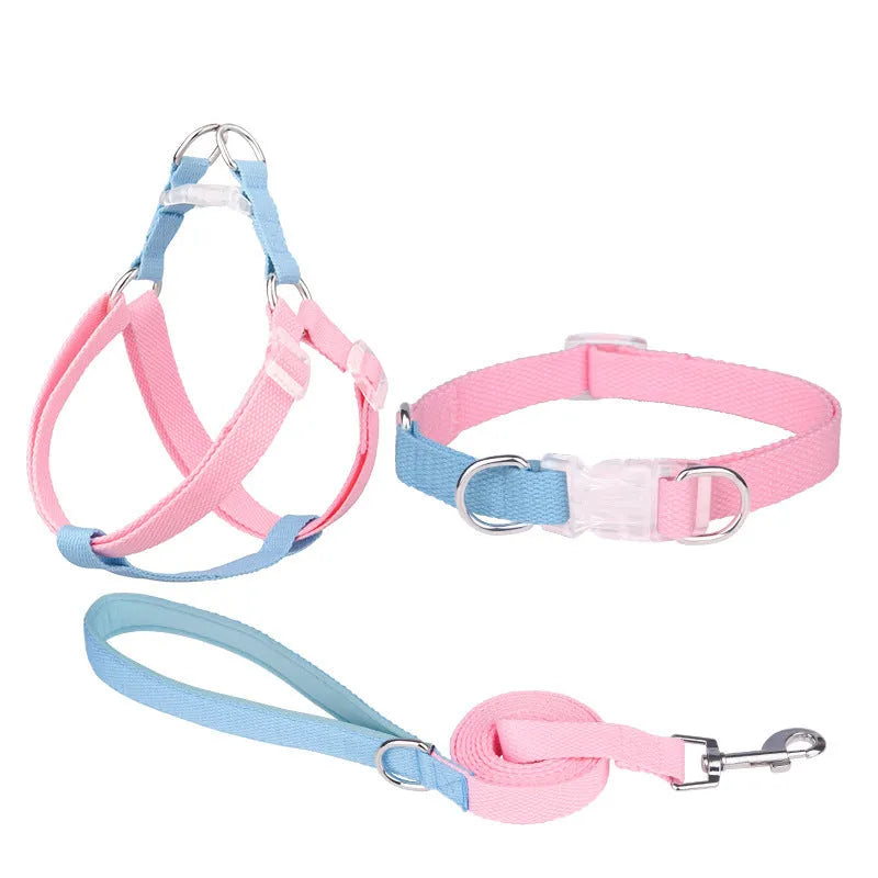 Polyester rib dog collar and lead set in multicolour combination with adjustable sizing