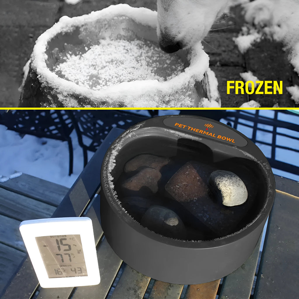 Black electric pet heating bowl with anti-slip base for cats and dogs
