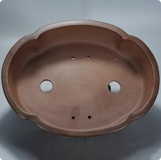 Classical style purple clay flower pot measuring 50cm wide x 39cm deep x 16cm high