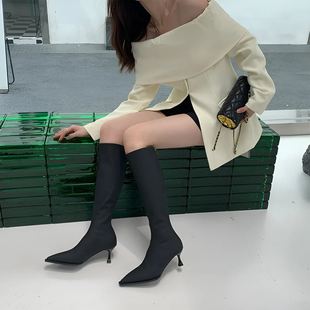 Black pointed toe below knee stiletto heel boots with a back zip, shown on a foot.