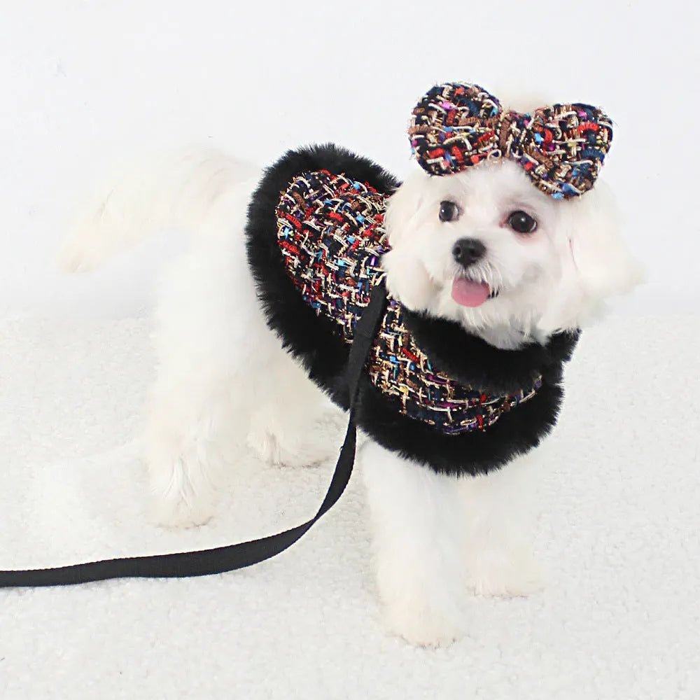 Dog wearing a beret-style cloak attached to a cloth chest strap harness with a hand-held rope.