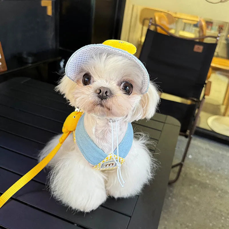 Pet harness and leash set with cute hat accessory and wire rope pulling toy for cats and dogs