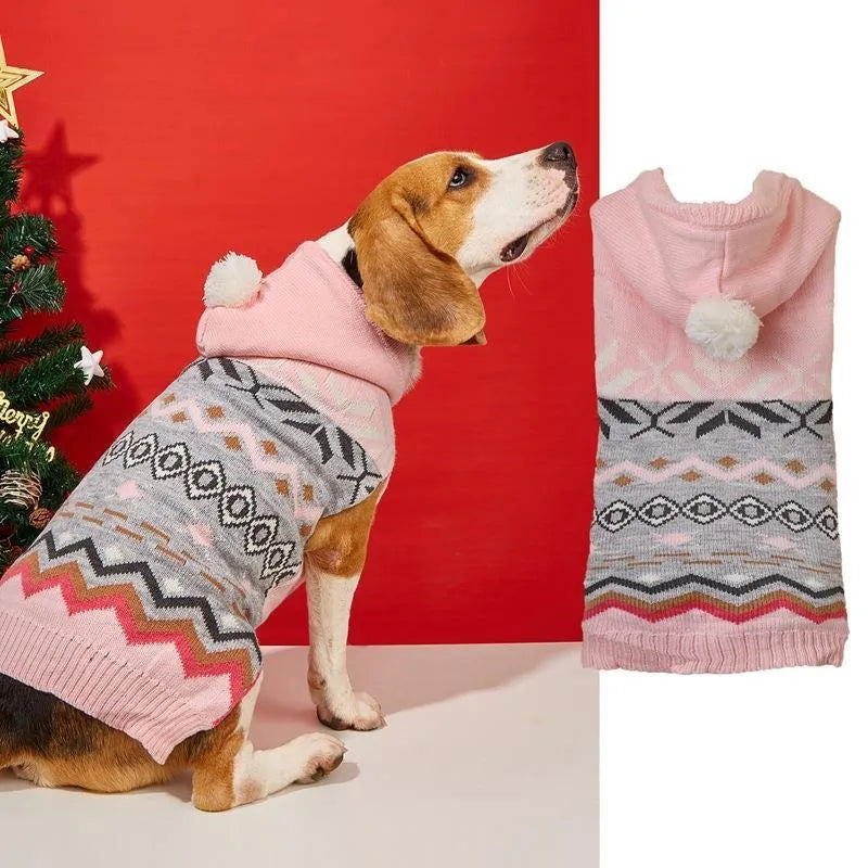 Green diamond pattern knitted pet sweater on small dog showing classic design and proper fit
