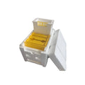 Three white EPS foam mini delivery boxes for beehive bee mating and breeding