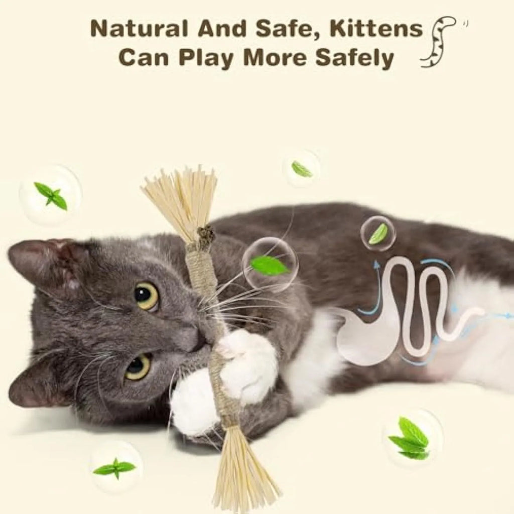 Three natural silvervine chew sticks for cats with sisal rope and raffia dental care elements