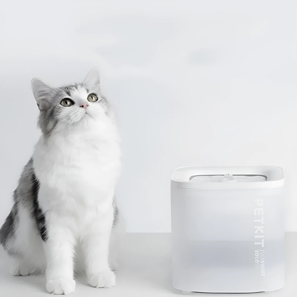 Xiaopei SOLO2 smart pet water dispenser with bowl and wireless filter unit