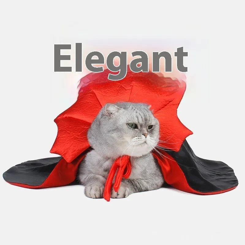 Black and red Halloween costume for cat or dog with European American styling
