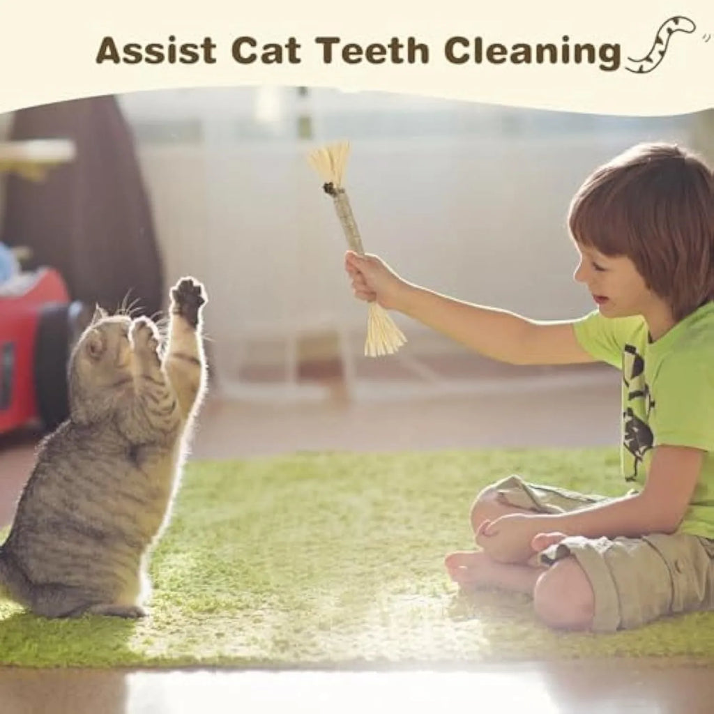 Three natural silvervine chew sticks for cats with sisal rope and raffia dental care elements