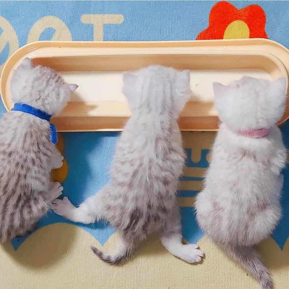 Set of four coloured plastic pet bowls with non-slip rubber bases for cats and dogs.