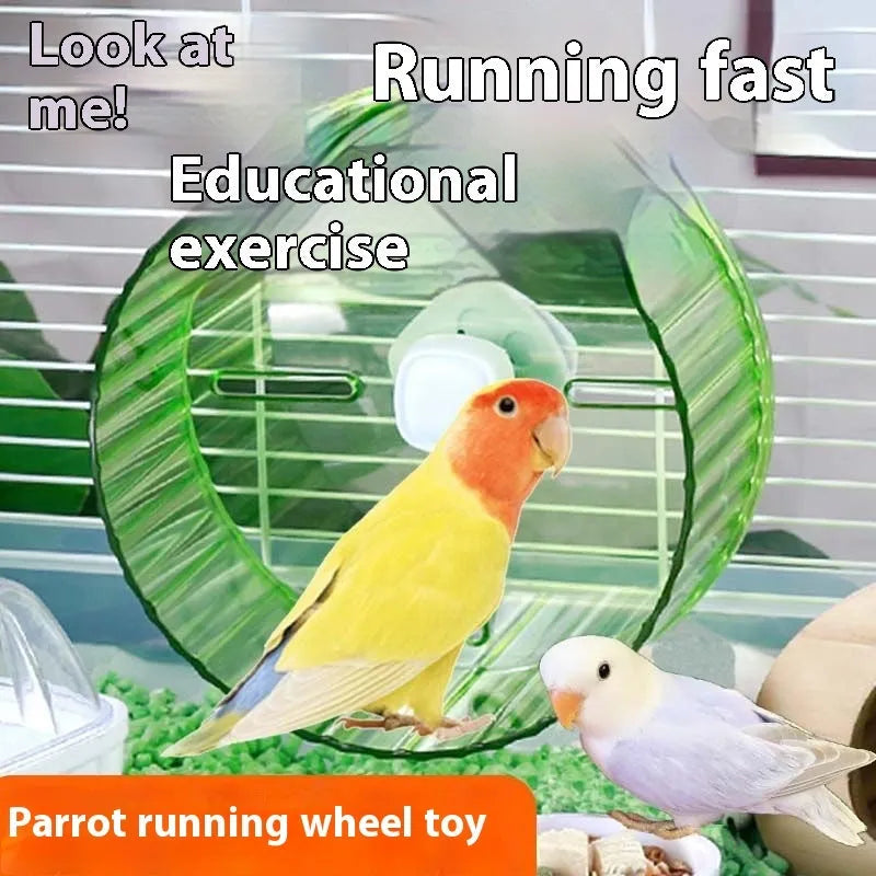 Parrot running wheel toy in transparent plastic showing rotating treadmill design for bird exercise