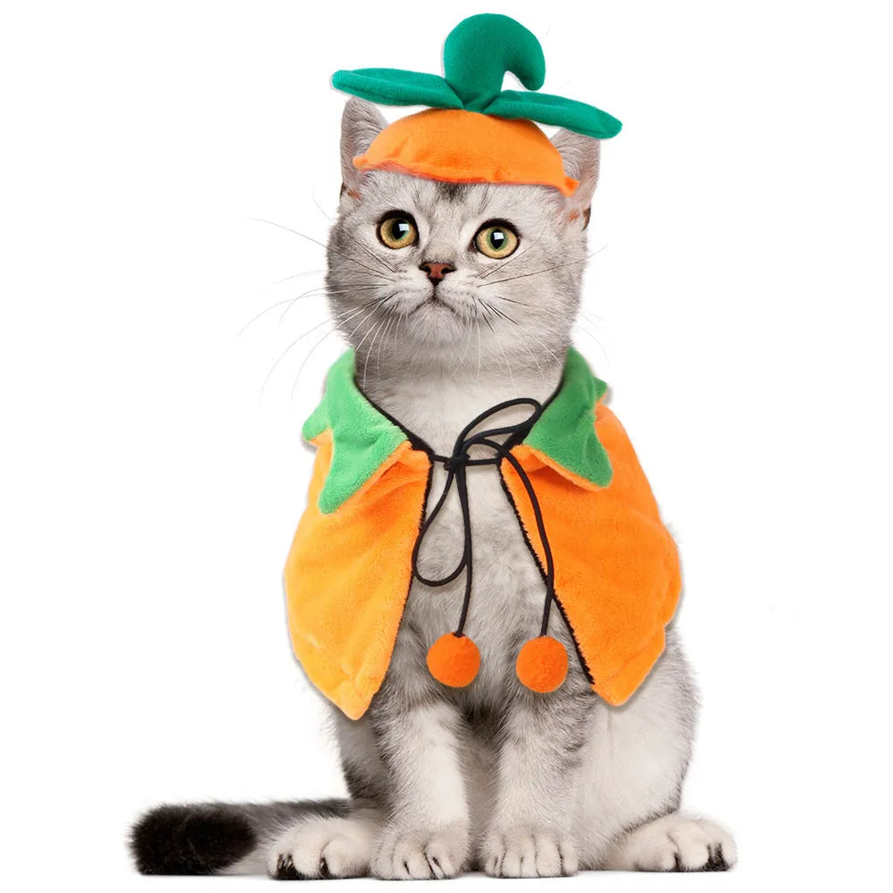 Orange pumpkin print double-sided plush cloak with matching hat on a dog for Halloween.