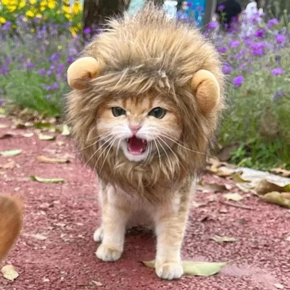 Lion mane wig accessory for cats and small dogs with plush ears and adjustable elastic band