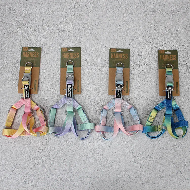 Nylon dog leash set showing pink and yellow gradient colour with multiple attachment options