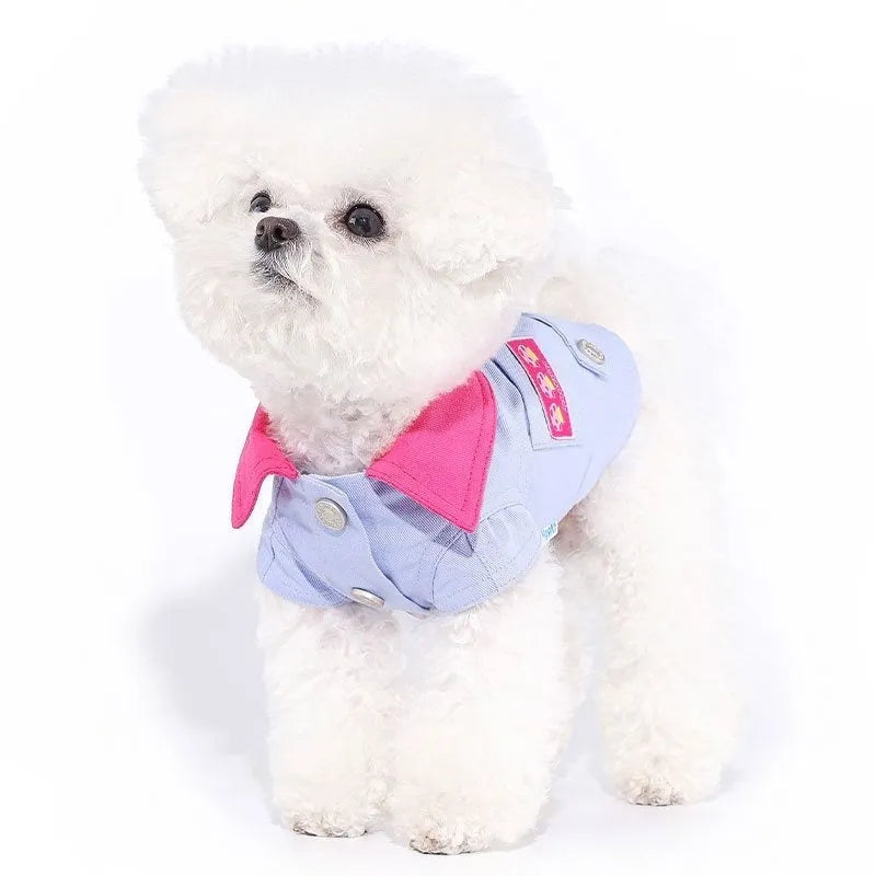 Blue and purple polyester dog harness with front traction ring on small dog