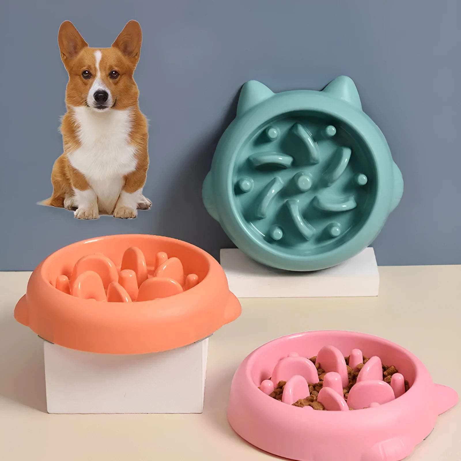 PP plastic dog slow feeder bowl with ridges and obstacles in green pink orange colours