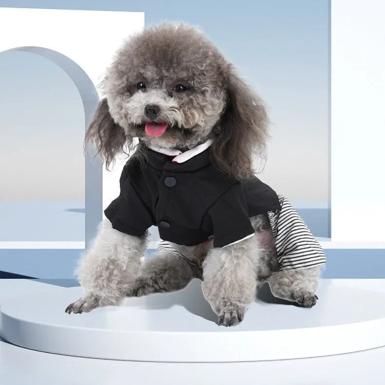 Cotton poodle dog clothes in skirt and four-foot pants styles for spring and summer wear