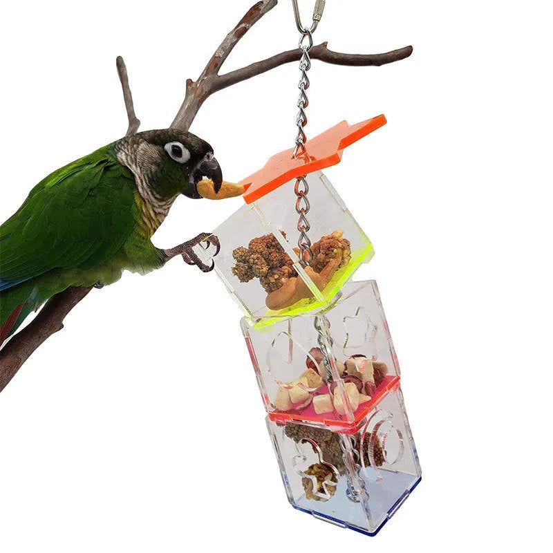Clear acrylic parrot foraging toy, 32 cm tall food container for bird enrichment.