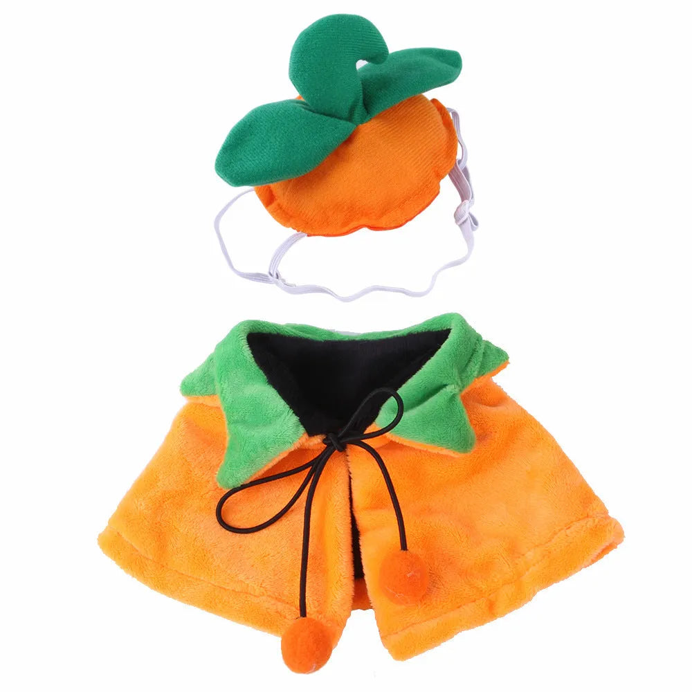 Orange pumpkin print double-sided plush cloak with matching hat on a dog for Halloween.