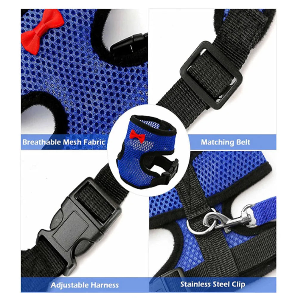 Poultry chicken vest and hen belt harness set with collars, bow, and traction rope for pet ducks.