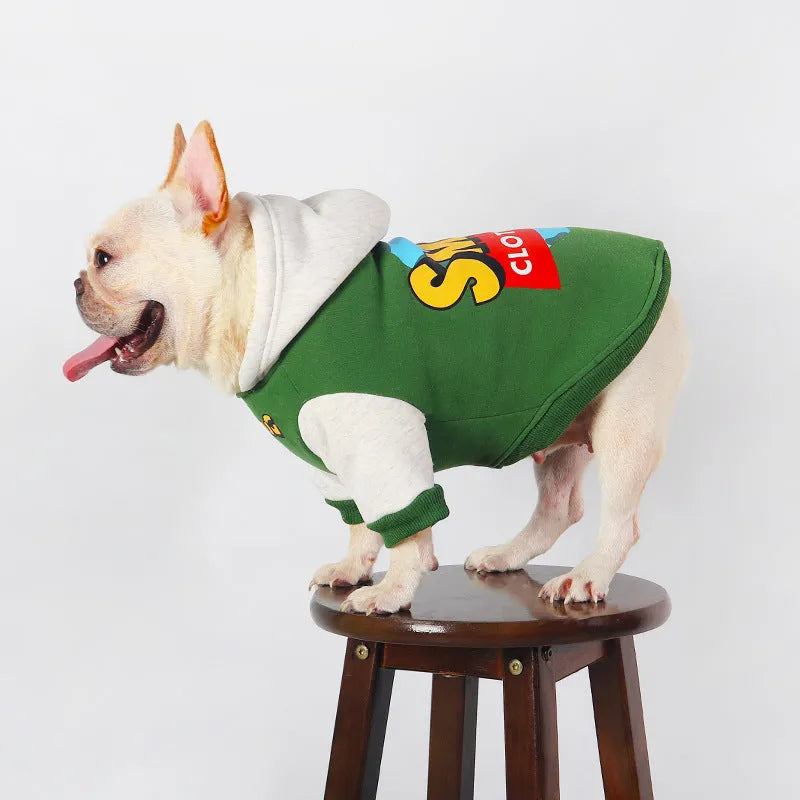 Green cotton dog jumper on a dog, showing autumn winter pet clothing style