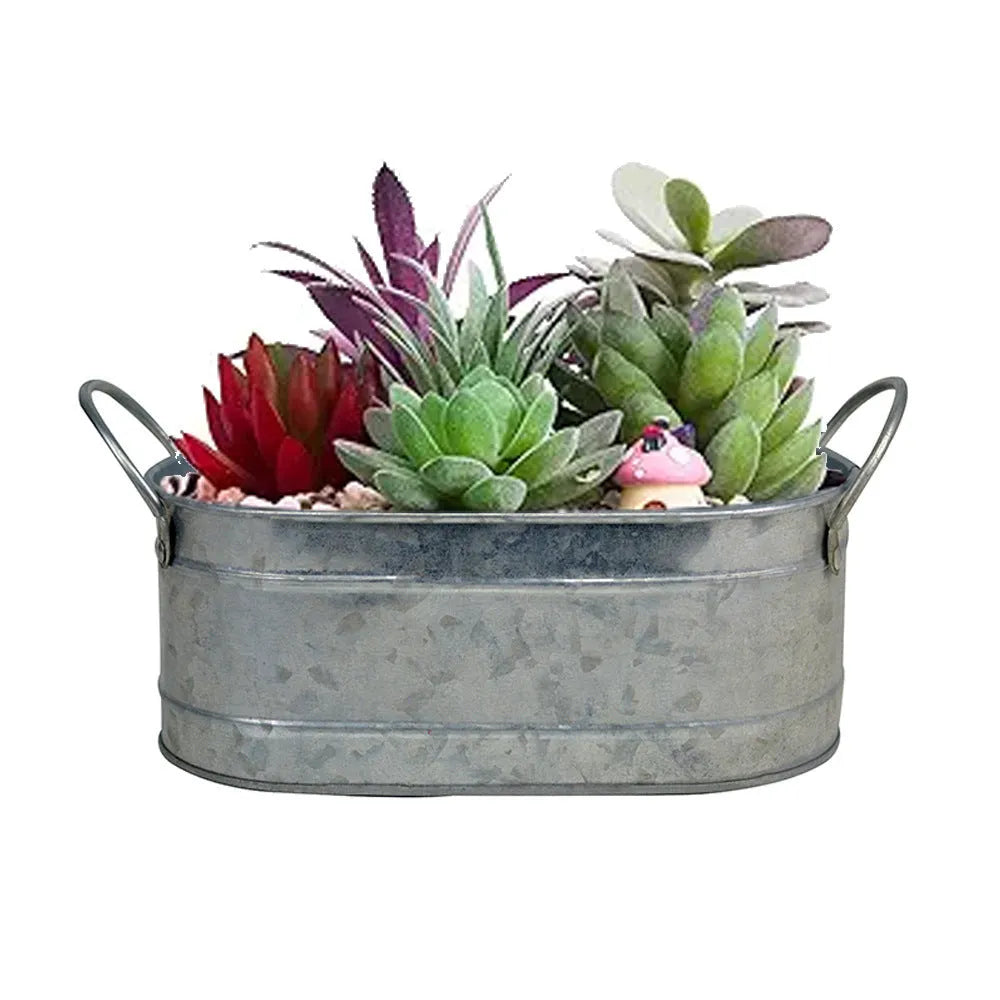 Iron sheet succulent flowerpot desktop style with metallic finish