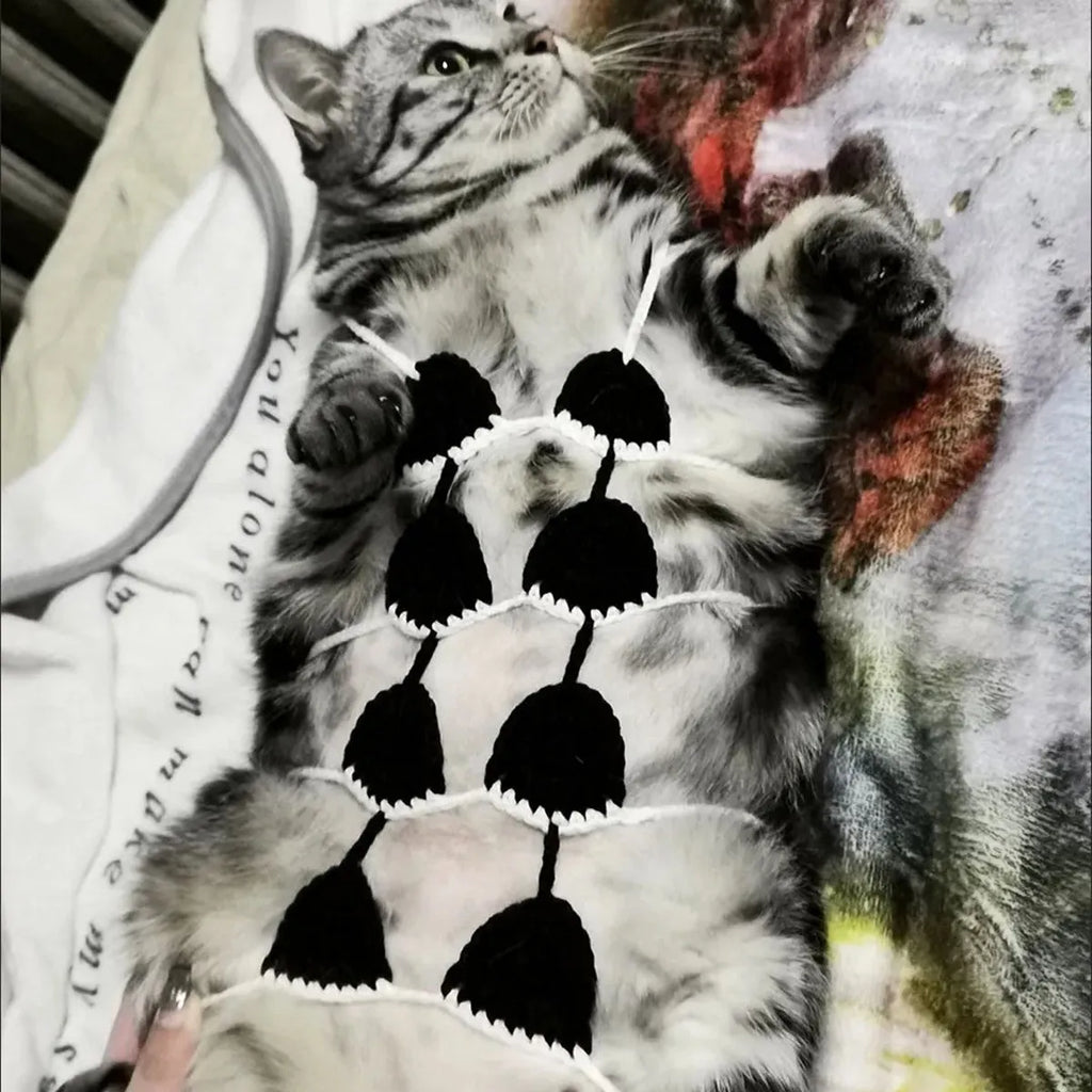 Colourful bikini costume for a cat or small dog on a white background.