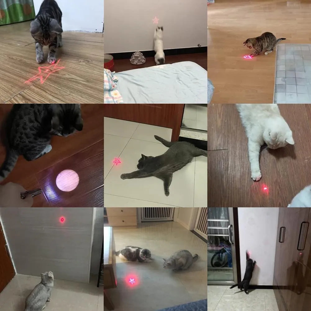 USB-rechargeable infrared cat teaser toy with keychain light in pink or black