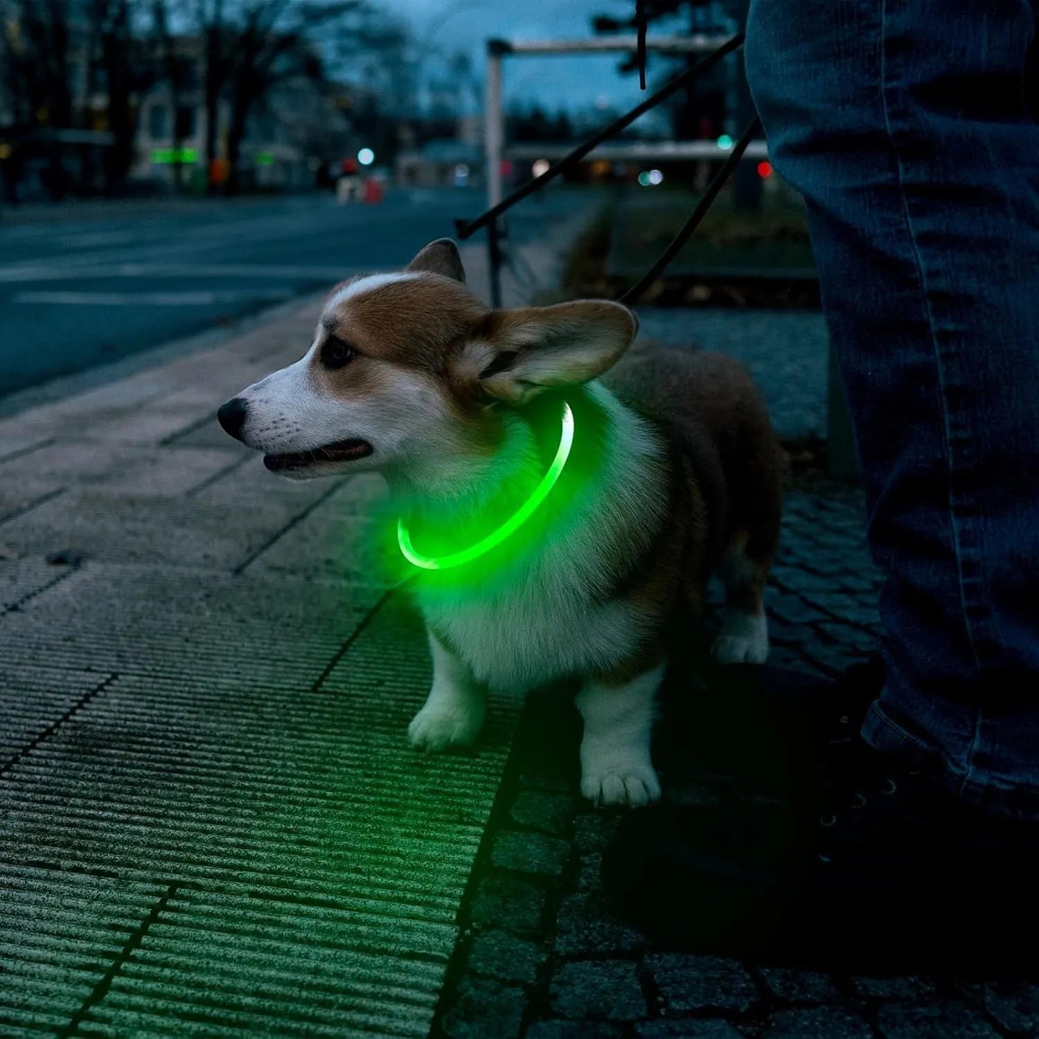USB rechargeable LED dog safety collar showing blue illuminated band with adjustable 70cm length