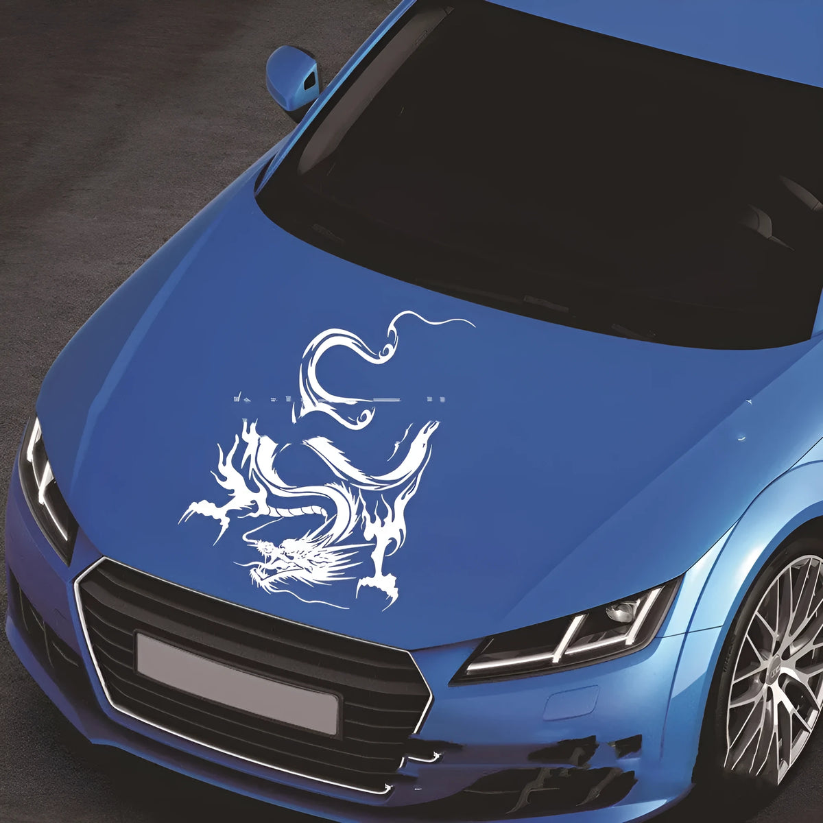 Black dragon design car body sticker measuring 50 by 36 centimetres on a vehicle front end.