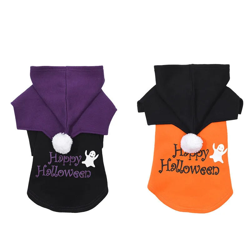 Black and orange Halloween pumpkin dog sweater and matching shawl set on a model dog.