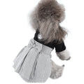 Cotton poodle dog clothes in skirt and four-foot pants styles for spring and summer wear