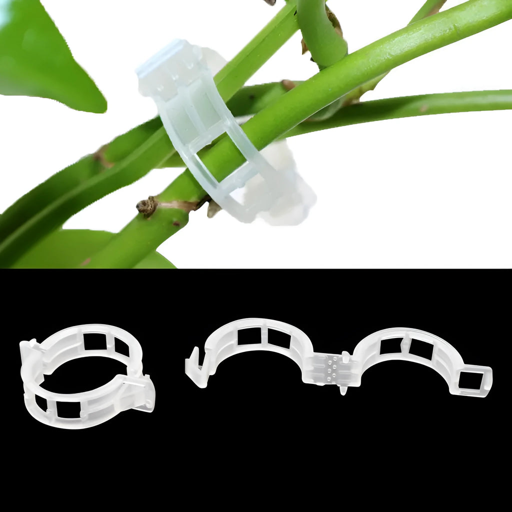 50-piece set of plastic gardening plant clips for tomato flower and twig support.