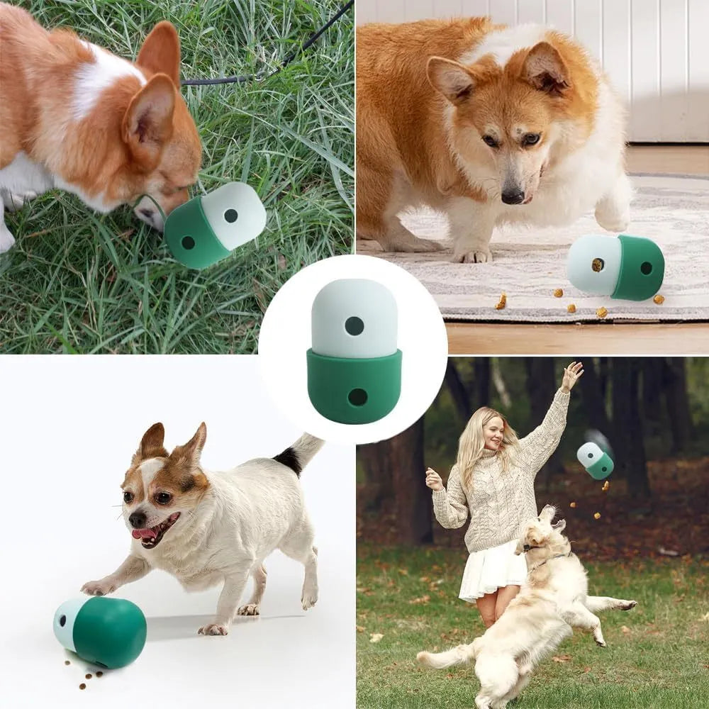 Dog treat puzzle toy in assorted colours for small medium dogs with detachable design