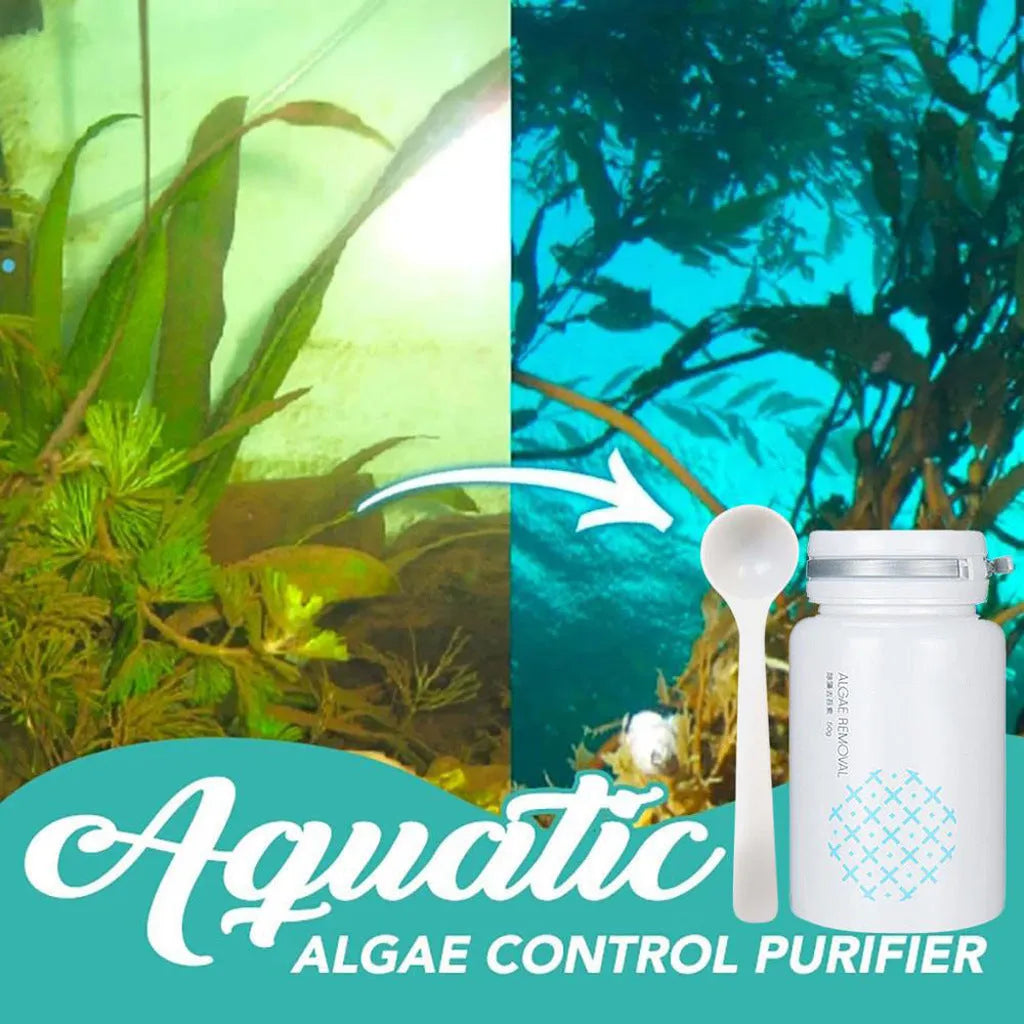 50g swimming pool algaecide container for algae removal and moss prevention