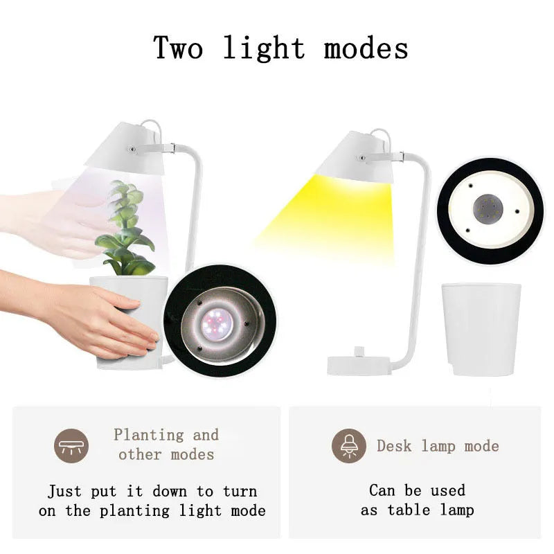 White plastic desktop hydroponic growing container for soilless indoor plant cultivation