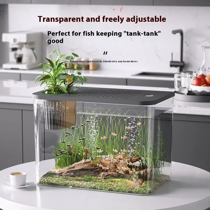 Black or white Betta fish tank with cover, 32cm long by 18.5cm wide by 23cm high