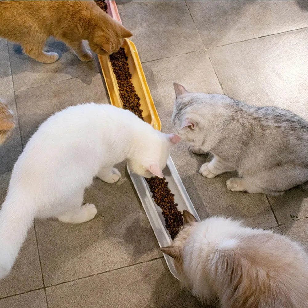 Set of four coloured plastic pet bowls with non-slip rubber bases for cats and dogs.