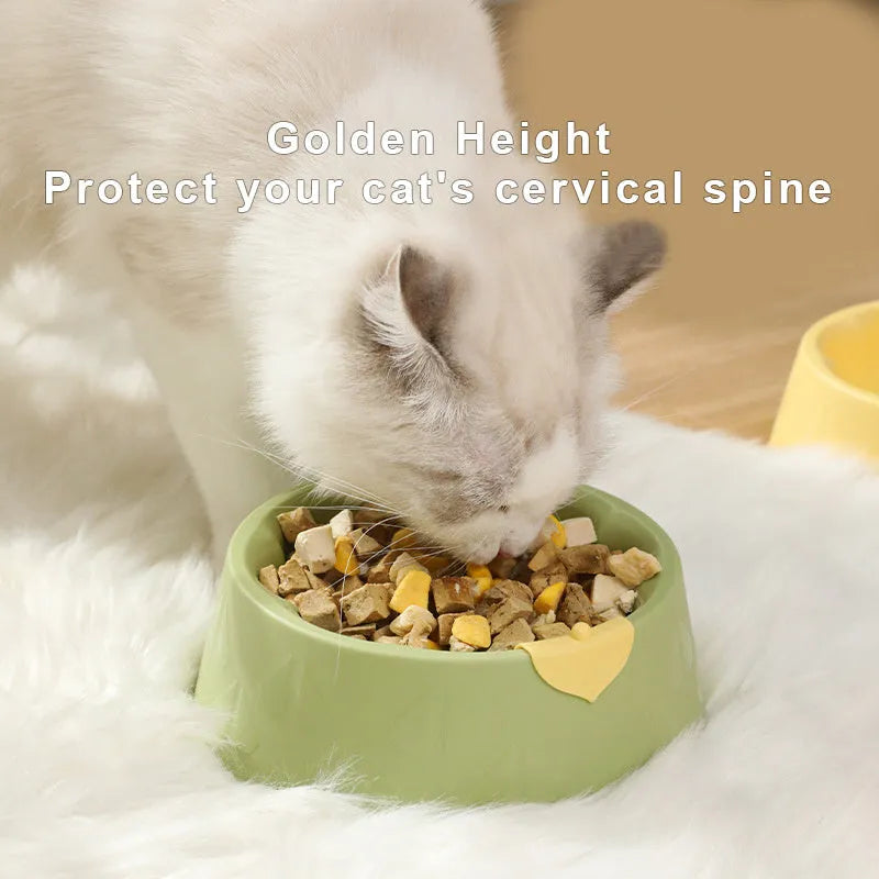 Green plastic flower-shaped double pet bowl for food and water on a white background.