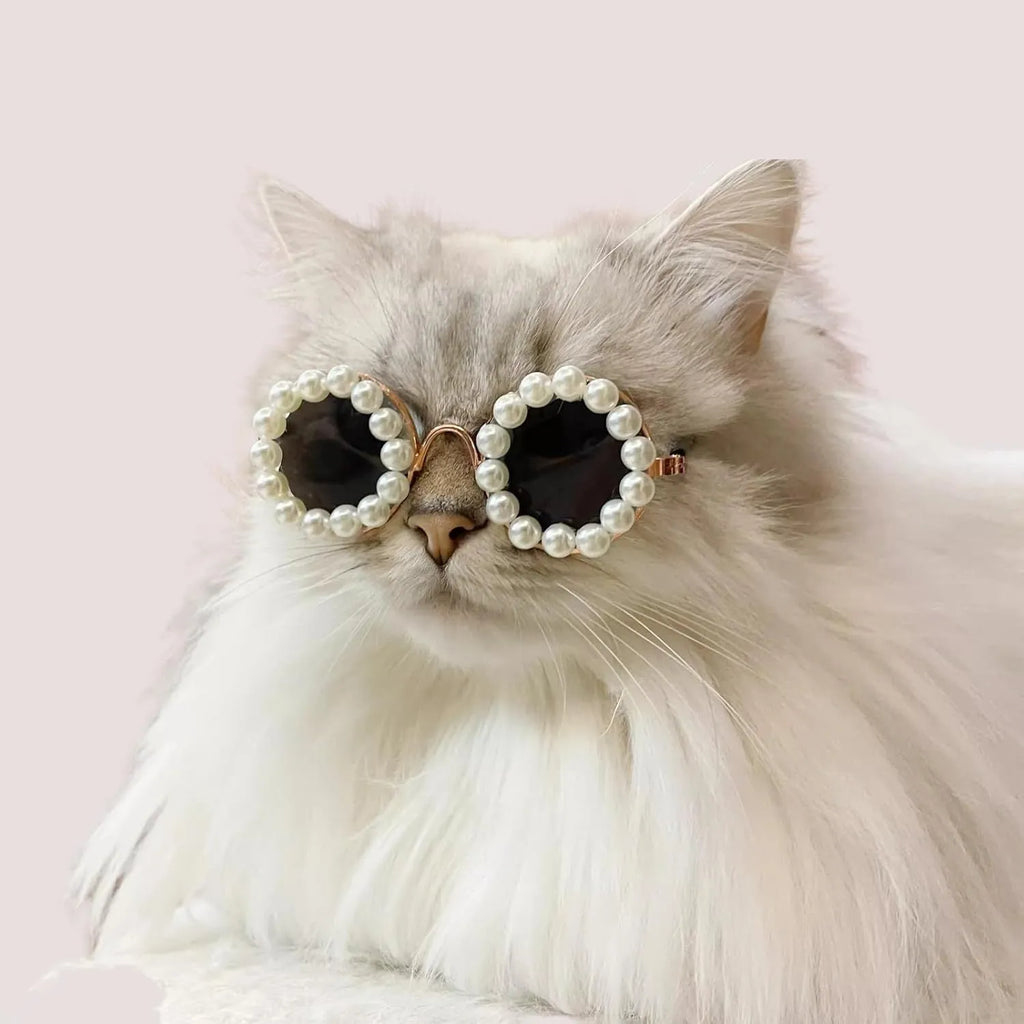 Pearl-rimmed round sunglasses for cats and dogs in multiple colours on a festive background.