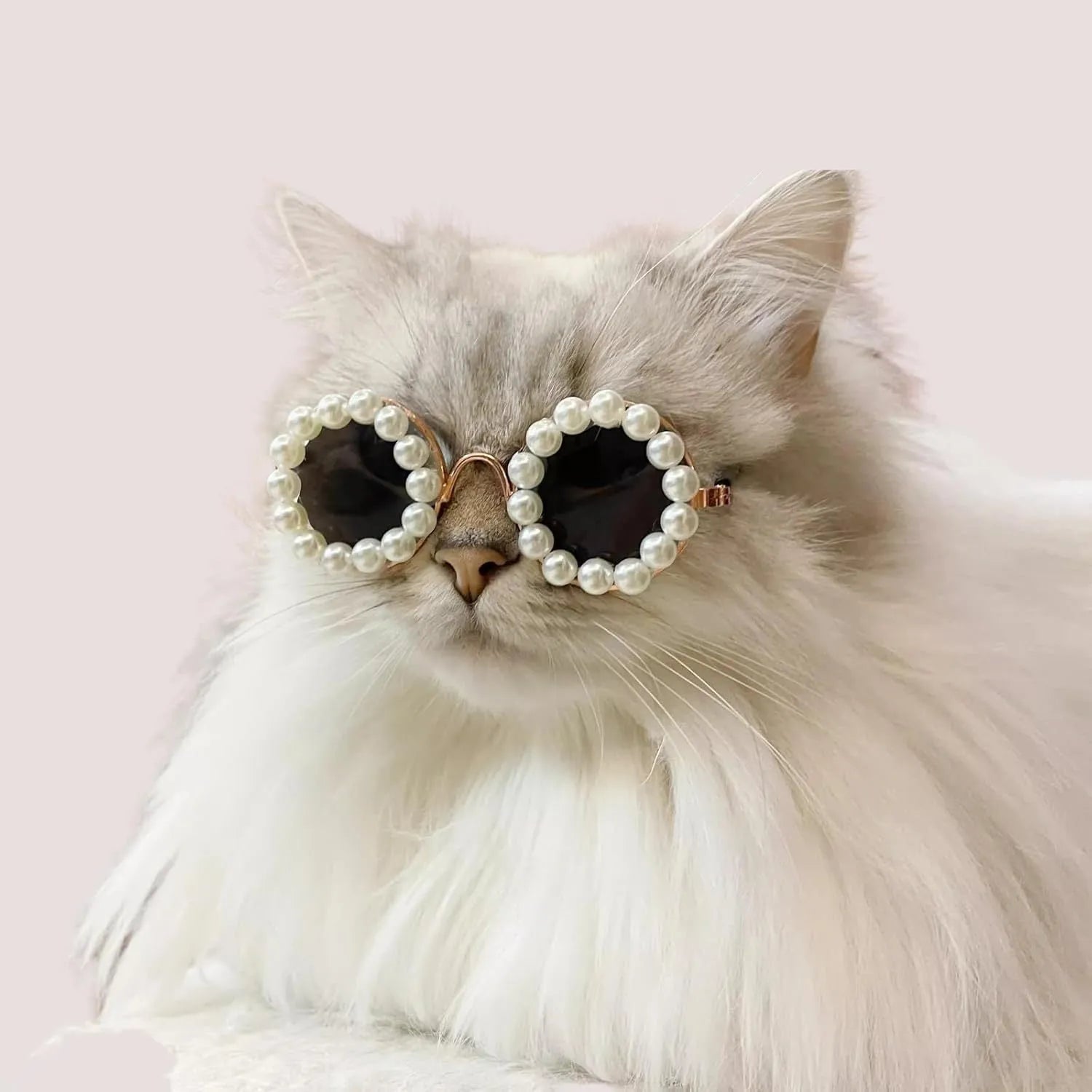Pearl-rimmed round sunglasses for cats and dogs in multiple colours on a festive background.
