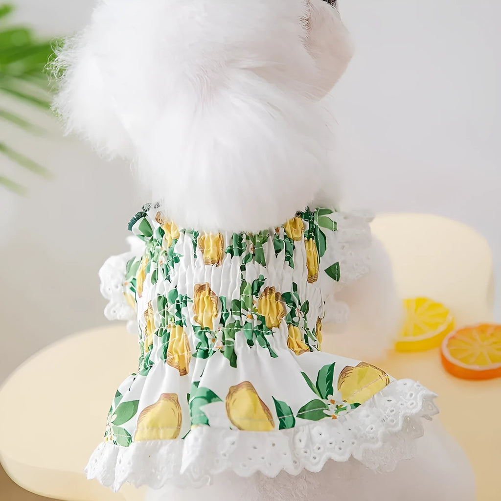 Rock yellow lemon dog skirt dress with thin breathable polyester construction and adjustable straps