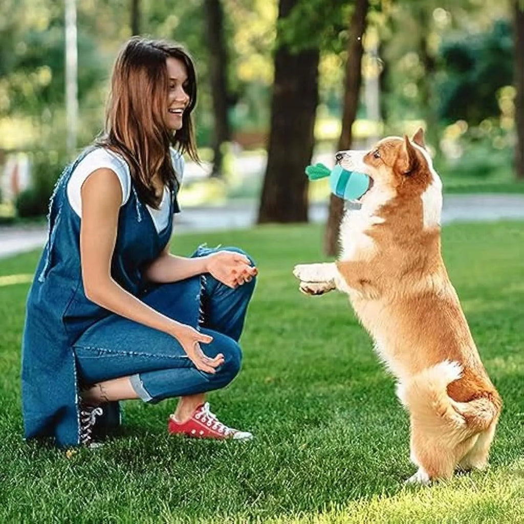 Blue interactive dog treat dispensing puzzle ball toy for medium large dogs