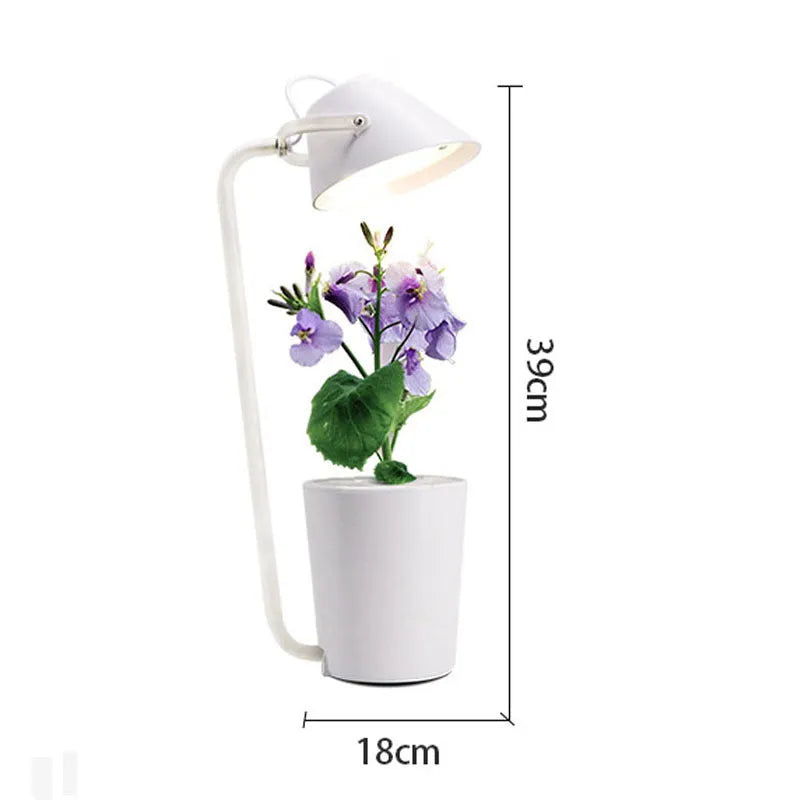 White plastic desktop hydroponic growing container for soilless indoor plant cultivation