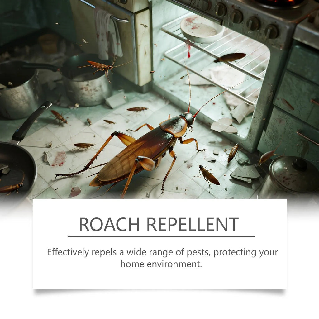 Cockroach bait sticker and glue trap set for indoor kitchen pest control