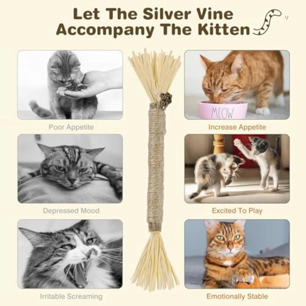 Three natural silvervine chew sticks for cats with sisal rope and raffia dental care elements