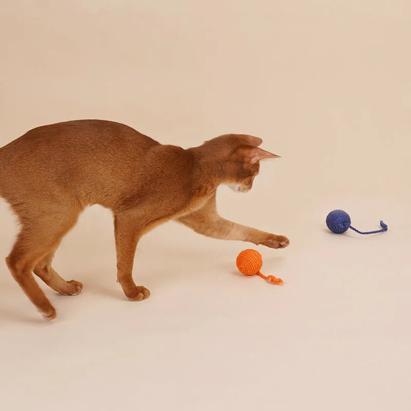 Bite-resistant cat teaser stick with wire core and three attached colourful catnip balls.