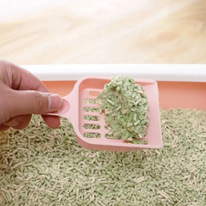 Plastic cat litter scoop tool in blue colour for pet toilet cleaning